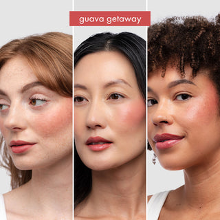 Guava Stack Build Your Makeup Stack | Pages | Collections | Subtl Beauty